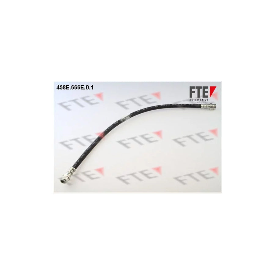 FTE 458E.666E.0.1 Brake Hose