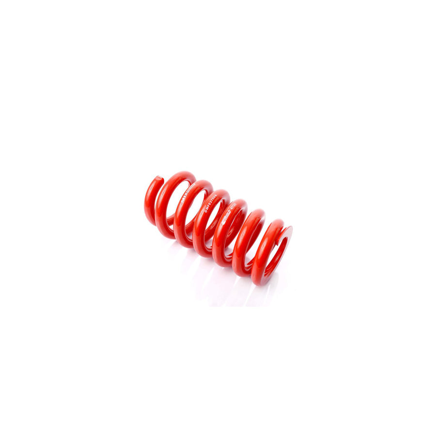 MTS Technik Audi Coil Spring - GWFE275VA Spare Parts | ML Performance UK Car Parts