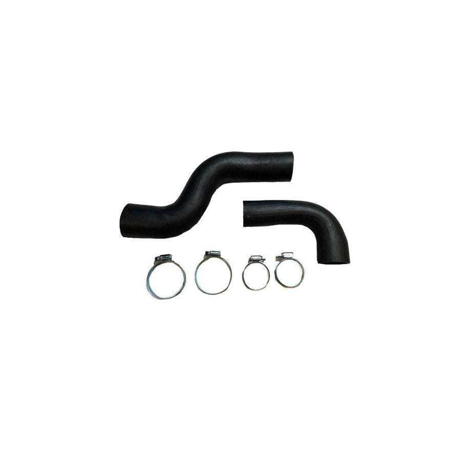 BUGIAD 81880 Charger Intake Hose for Renault Kangoo