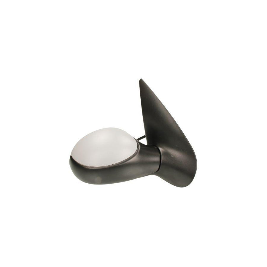 Blic 5402-04-1129283P Wing Mirror for Peugeot 206
