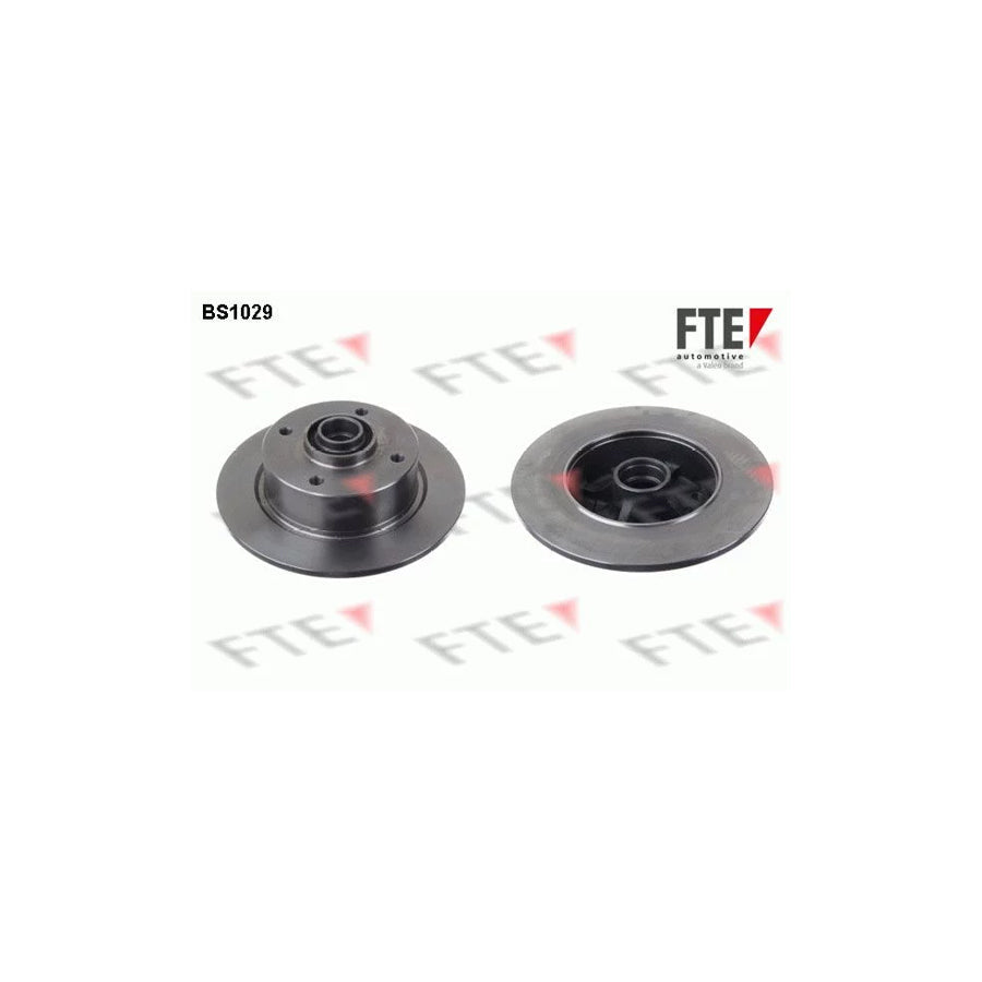 FTE Bs1029 Brake Disc