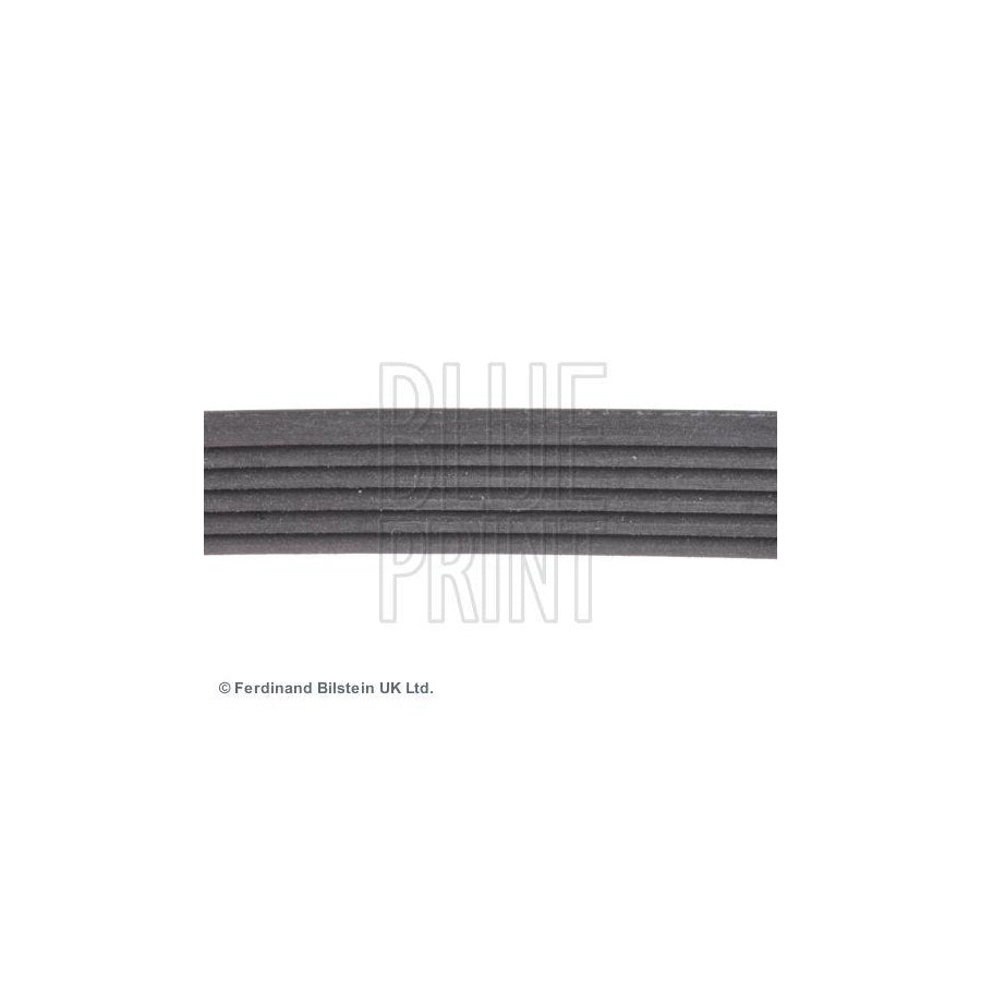 Blue Print Adg09623 V-Ribbed Belt