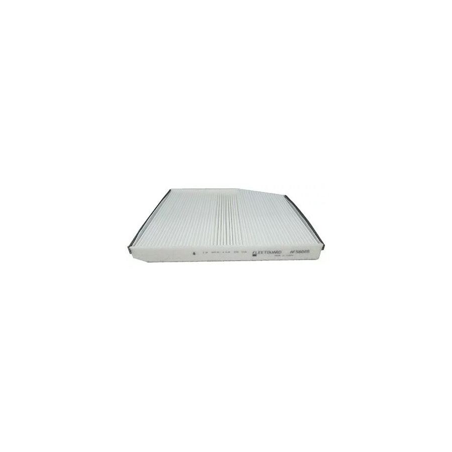 Fleetguard Af56065 Pollen Filter