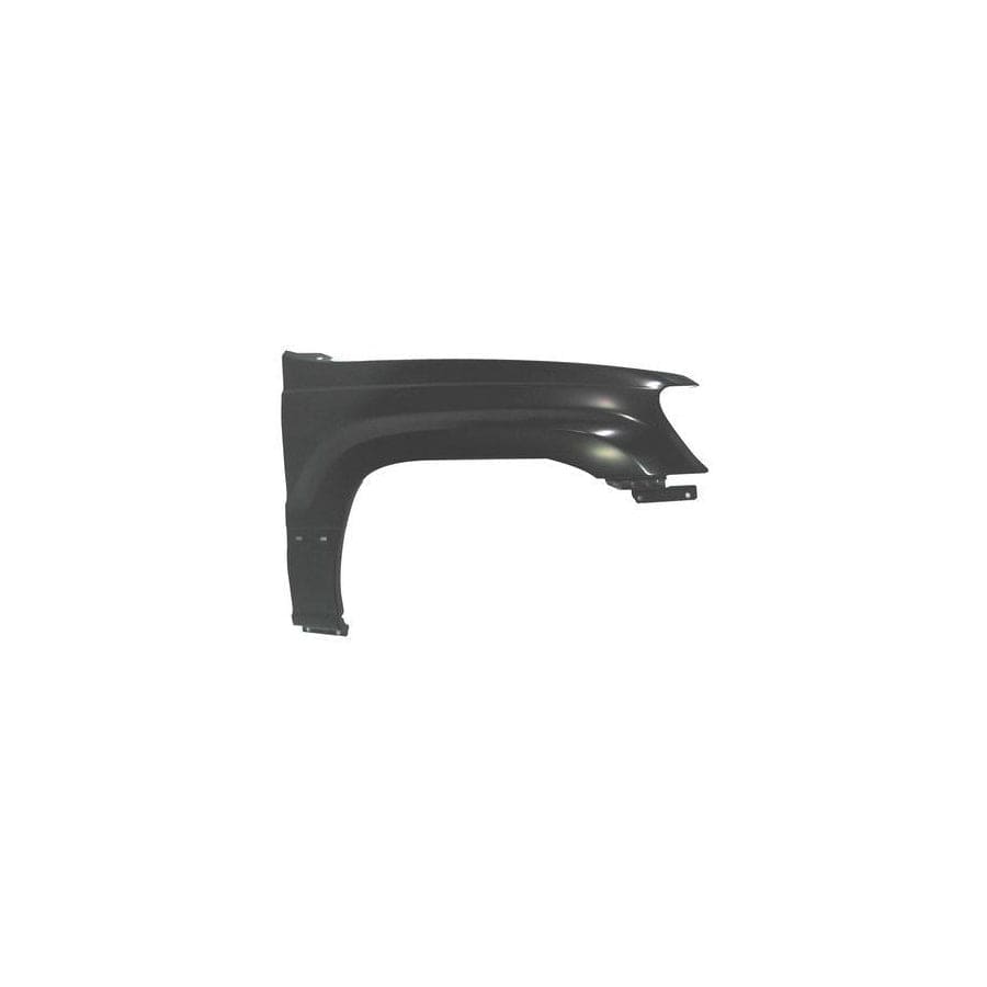 Abakus 02305202 Wing Fender for Jeep Cherokee III (Kj)