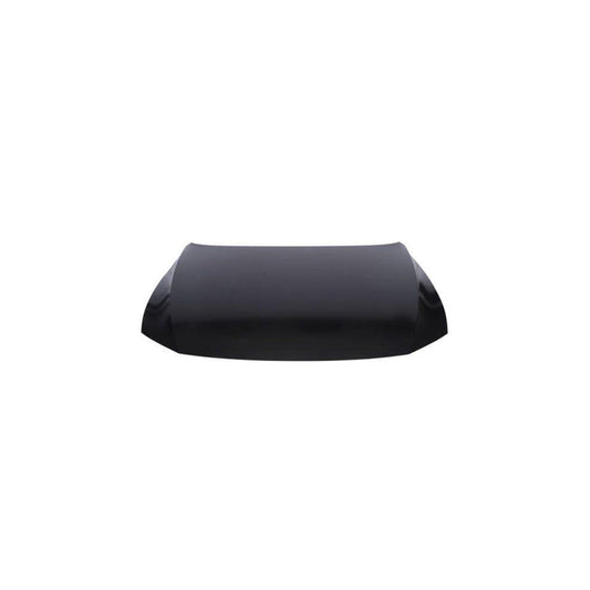 Blic 6803-00-9549280P Bonnet for VW Passat