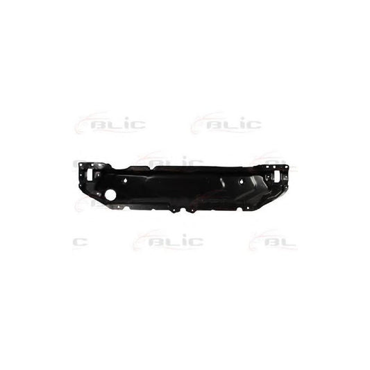 Blic 6502-08-0066201P Front Cowling for BMW 5 Series