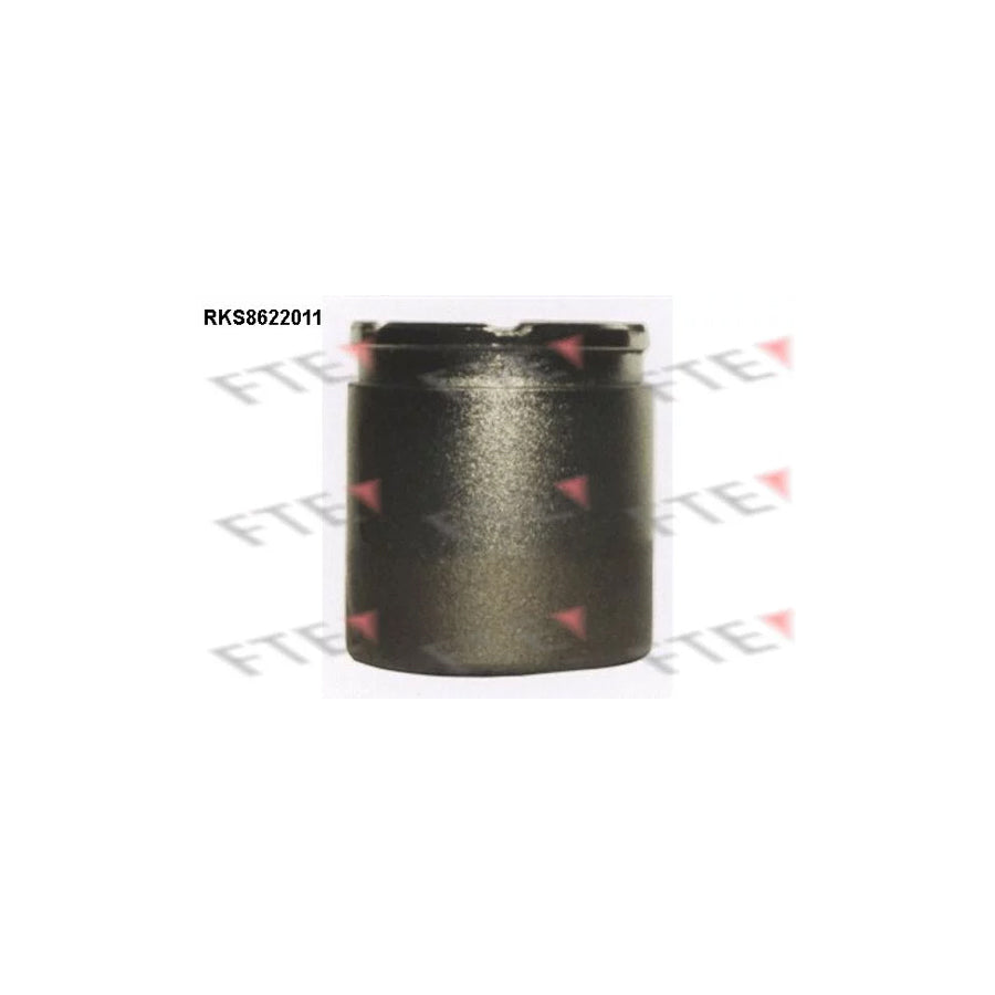 FTE 9313173 Piston, Brake Caliper