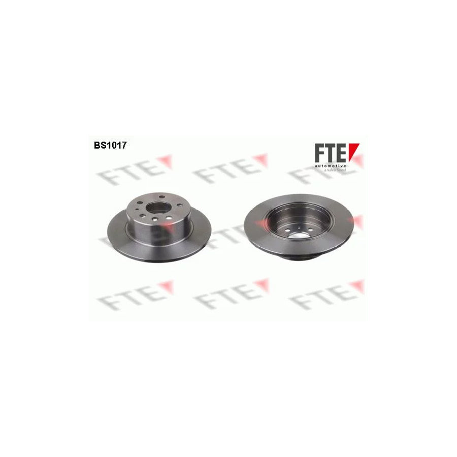 FTE Bs1017 Brake Disc