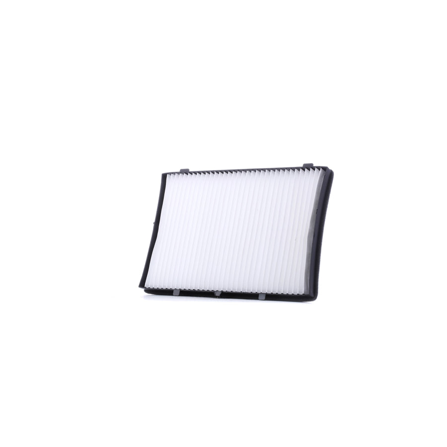 Master Sport 3943-IF-PCS-MS Pollen Filter