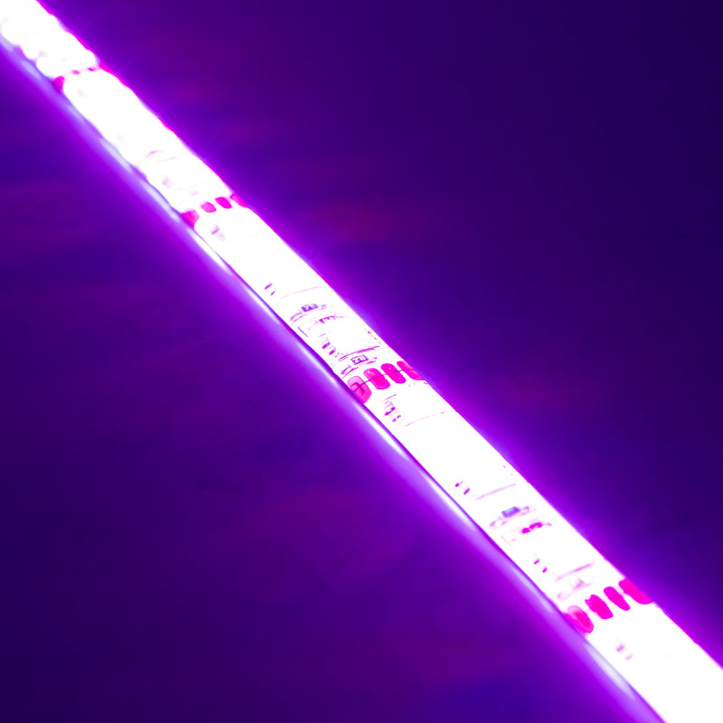 ORACLE Lighting Oracle Engine Bay LED Kit 48in - UV/Purple