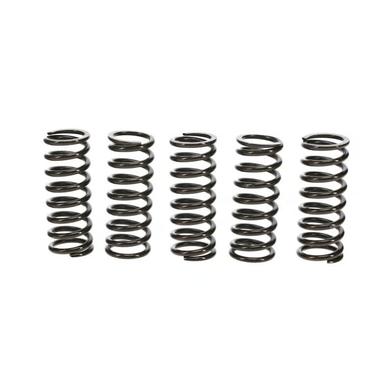 Wiseco 01-07 Suzuki DR-Z250 Clutch Spring Kit