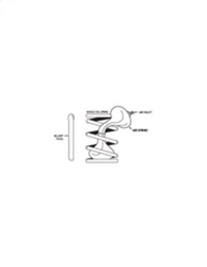 Firestone Coil-Rite Air Helper Spring Kit Rear 10-18 Dodge RAM 1500 2WD/4WD (W237604185)