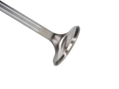 Manley Performance Manley Ford 4.6L/5.4L SOHC (2 Valve) 96-98 w/Bead Loc Groove 36mm Race Master Exhaust Valve - Single