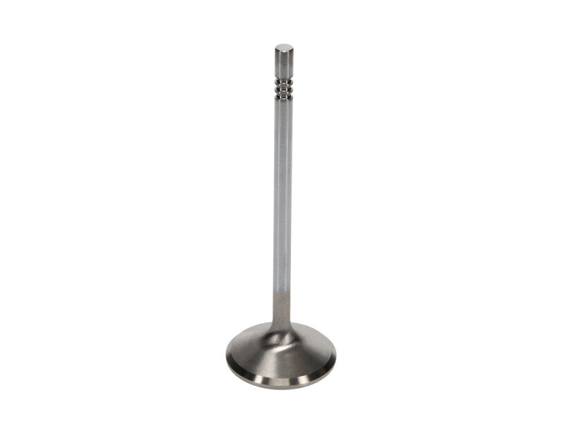 Manley Performance Manley Ford 4.6L 37.5mm Diameter 117.35mm Length Race Master Exhaust Valves (Set of 8)