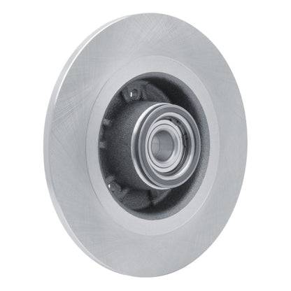 DFC 03-06 Renault Laguna (Mexico) Rear Brake Rotor