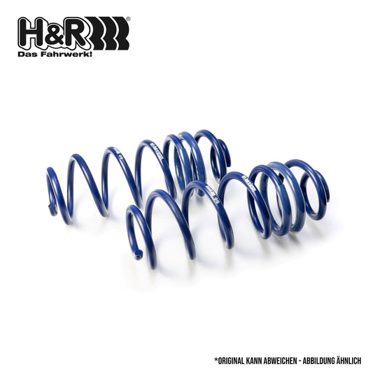 H&R 29791-4 Performance Lowering Springs