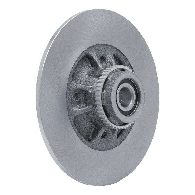 DFC 02-10 Renault Clio (Mexico) Rear Brake Rotor