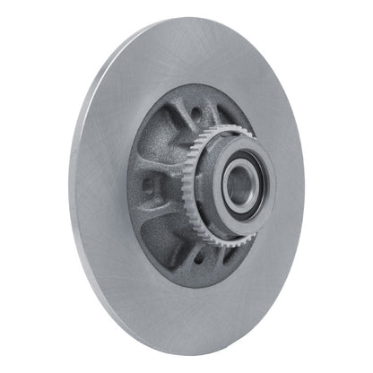 DFC 02-10 Renault Clio (Mexico) Rear Brake Rotor