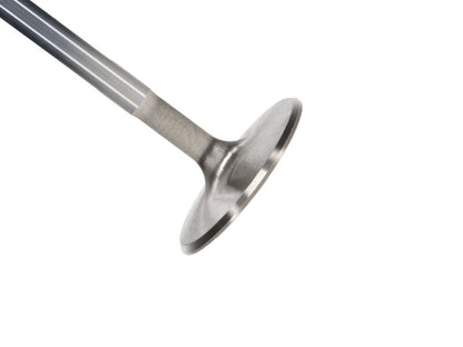 Manley Performance Manley Chevy LS-1 Small Block 2.055 Pro Flo Severe Duty Exhaust Valves (Set of 8)