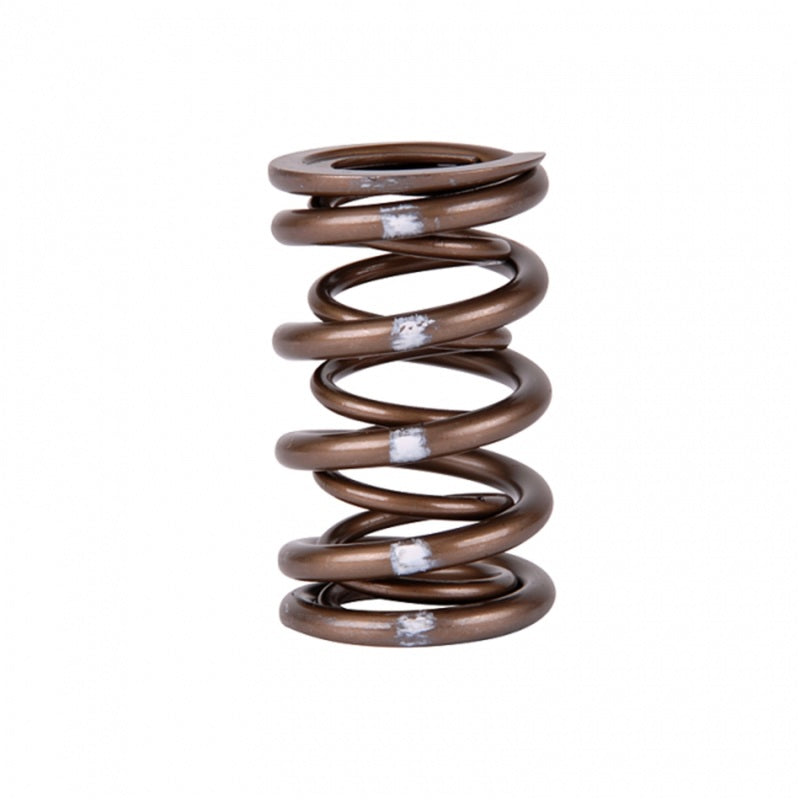 Skunk2 Racing Skunk2 Pro Series Honda/Acura K-Series i-VTEC XP Valve Spring Set (Dual Springs)