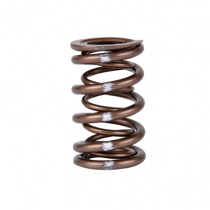 Skunk2 Racing Skunk2 Pro Series Honda/Acura K-Series i-VTEC XP Valve Spring Set (Dual Springs)