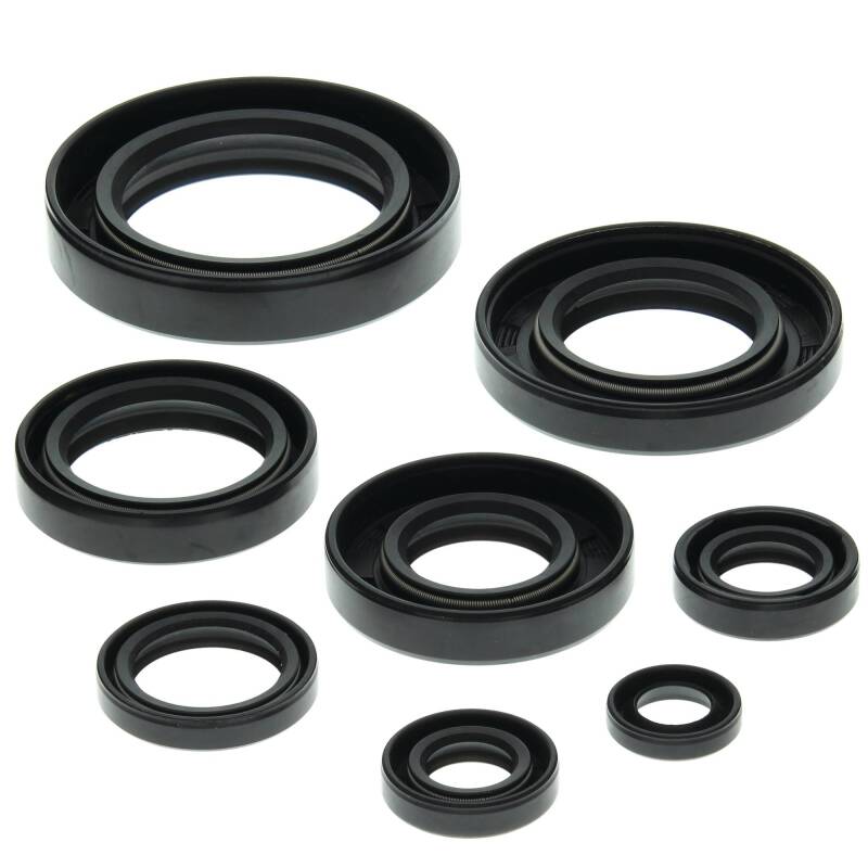 Vertex Pistons Vertex Gaskets 85-86 Honda ATC250R Oil Seal Kit