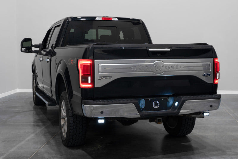 Diode Dynamics 15-20 Ford F-150 C1 Pro Stage Series Reverse Light Kit
