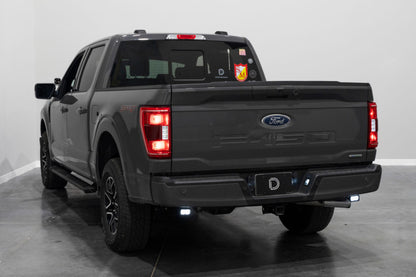 Diode Dynamics 21-22 Ford F-150 Stage Series Reverse Light Kit C1 Pro