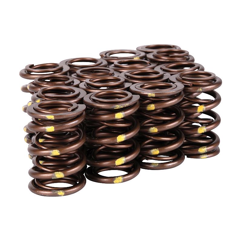 Skunk2 Racing Skunk2 Pro Series Honda/Acura K-Series i-VTEC XP Valve Spring Set (Dual Springs)