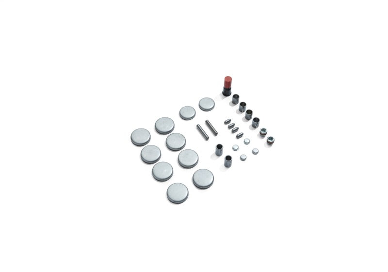 Ford Racing Boss 5.0L Block Plug & Dowel Kit