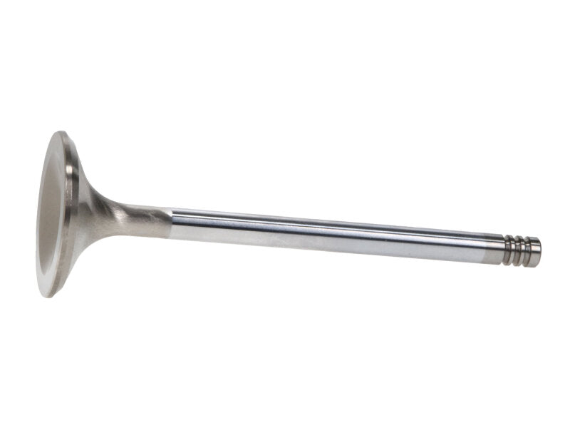 Manley Performance Manley Chrysler Hemi 6.1L w/ Triple Groove 1.625in Race Master Exhaust Valves (Single)