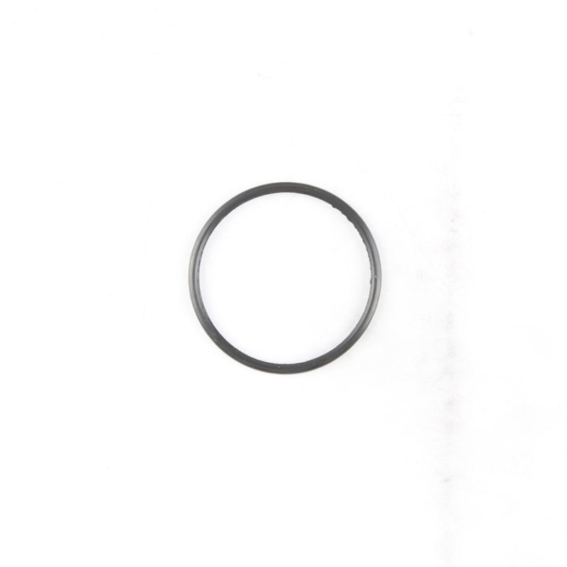 Cometic Gasket Cometic 03-08 Dodge Cummins 5.9L ISB Common Rail Thermostat Seal