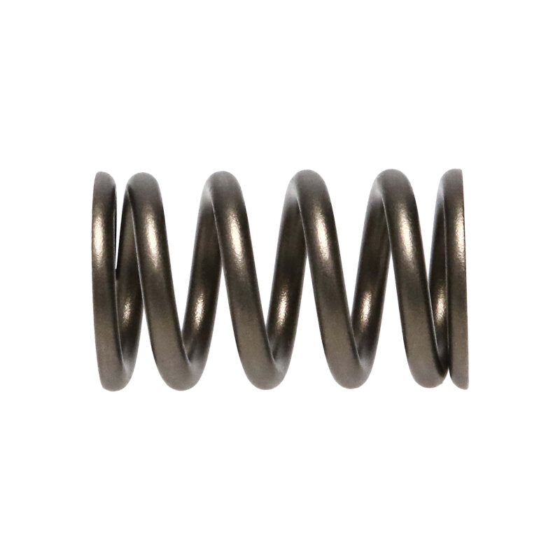 Manley Performance Manley 90-06 Mitsubishi (4G63-4G63T) 16pc Valve Springs (1.100/.775)