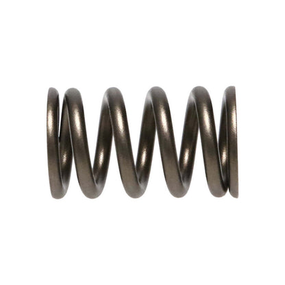 Manley Performance Manley 90-06 Mitsubishi (4G63-4G63T) 16pc Valve Springs (1.100/.775)