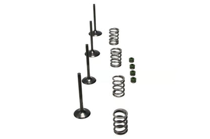 Wiseco 06-11 Suzuki LT-R450 Steel Valve Set