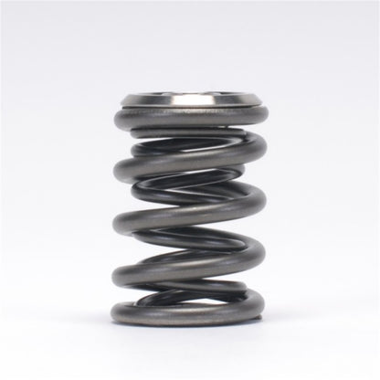 Skunk2 Racing Skunk2 Alpha Series Honda/Acura B Series Valve Spring and Titanium Retainer Kit