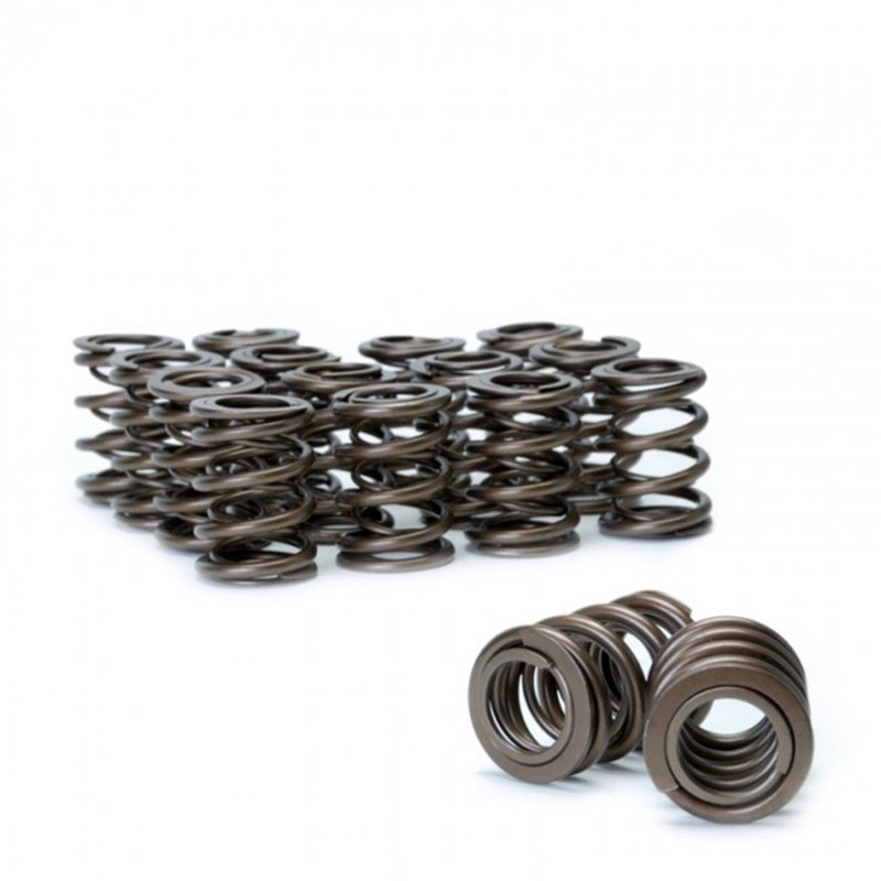 Skunk2 Racing Skunk2 Tuner Series Honda/Acura (B16A/ B17A/ B18C) DOHC VTEC Alpha Valve Spring Set (Dual Springs)