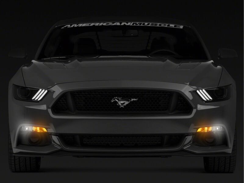 Raxiom 15-17 Ford Mustang Axial Series Switchback Turn Signal Conversion Kit