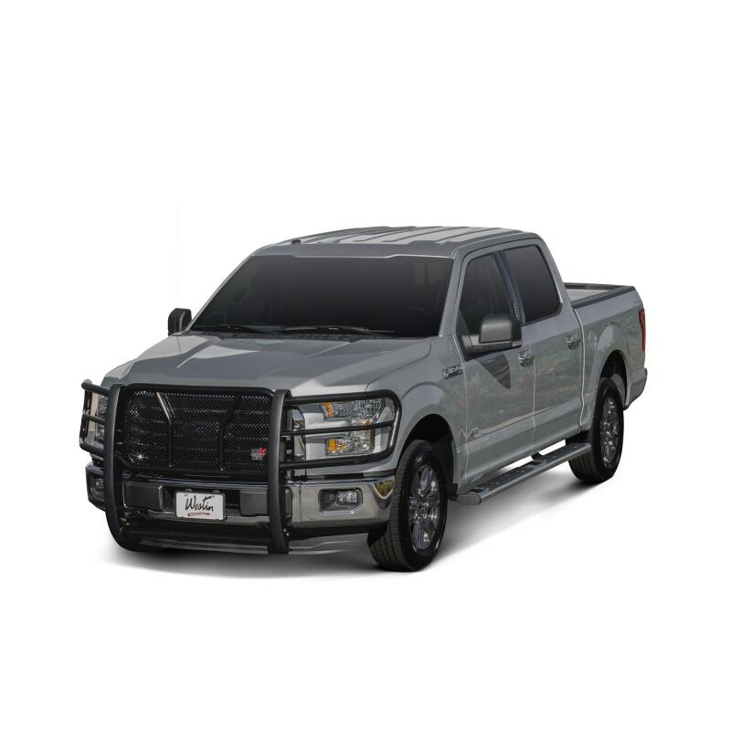 Westin Premier 6 in Oval Side Bar - Stainless Steel 75 in - Stainless Steel