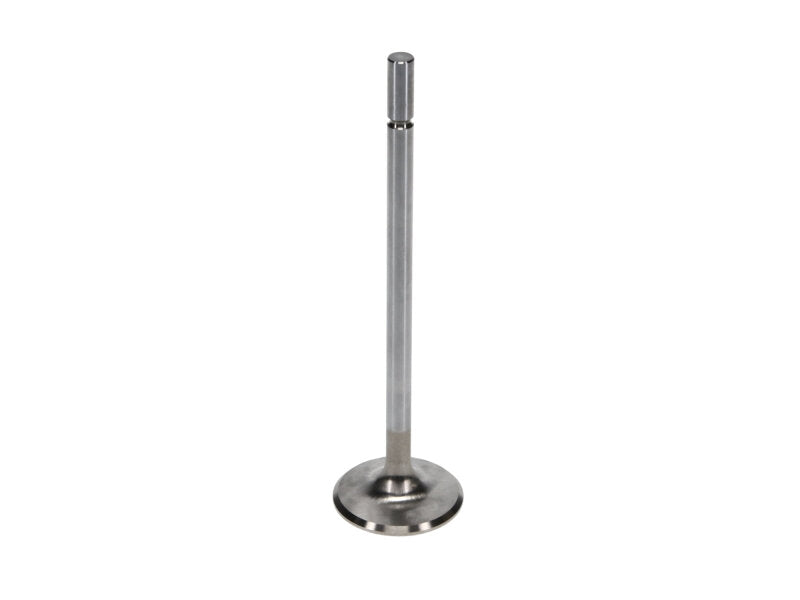 Manley Performance Manley Ford 4.6L/5.4L DOHC 4V 37mm Dia 5.339in Length Bead Loc Race Master Intake Valves (Set of 8)