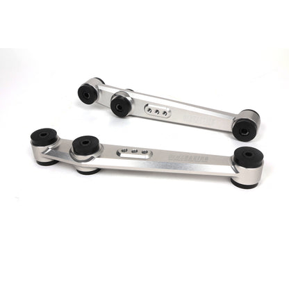 BLOX Racing 90-01 Integra, 89-95 Civic, CRX, Del Sol V2 Billet Rear LCA Poly Bushings - Raw