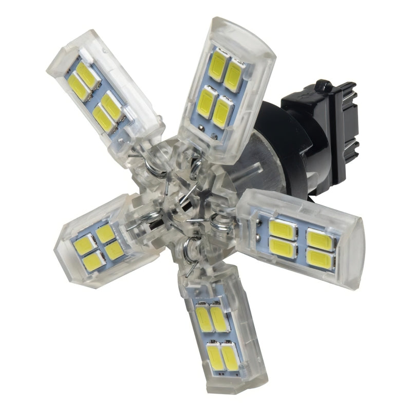 ORACLE Lighting Oracle 3157 15 SMD 3 Chip Spider Bulb (Single) - Cool White