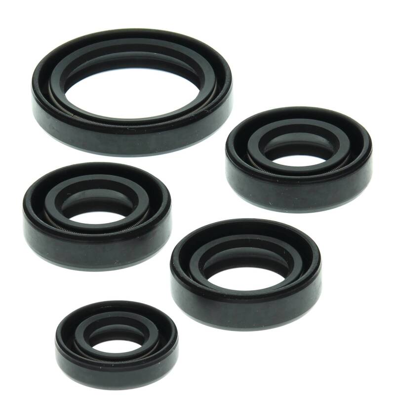 Vertex Pistons Vertex Gaskets 88-02 Kawasaki KLF220 Bayou Oil Seal Kit