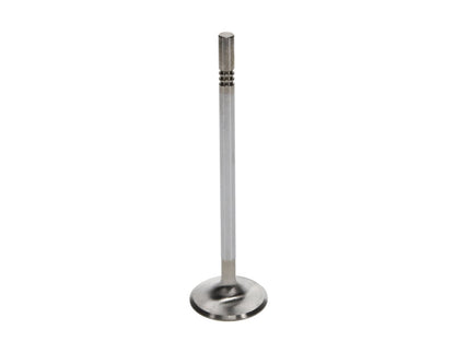 Manley Performance Manley Ford 4.6L DOHC (4 Valve) Triple Groove 37mm Race Master Intake Valves - Single