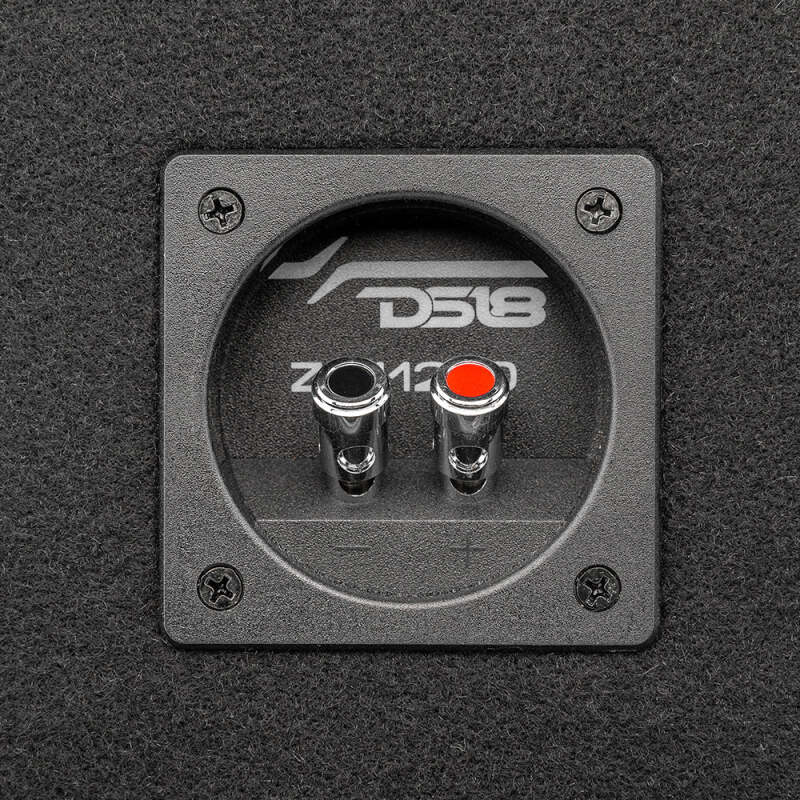 DS18 Single 12in Loaded 750 Watts RMS ZR12.2D Ported Enclosure w/ Subwoofer