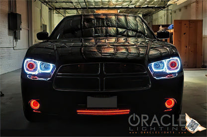 ORACLE Lighting Oracle Dodge Charger 11-12 LED Fog Halo Kit - ColorSHIFT
