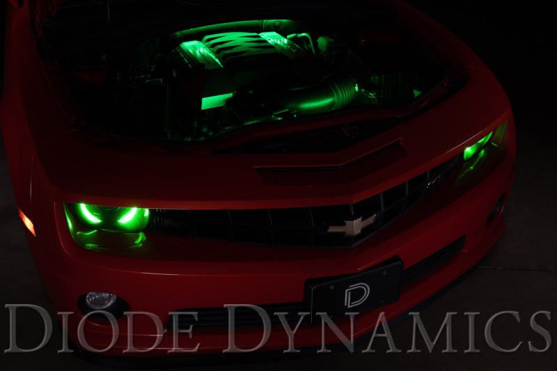 Diode Dynamics RGBW Engine Bay Strip Kit 2pc Multicolor