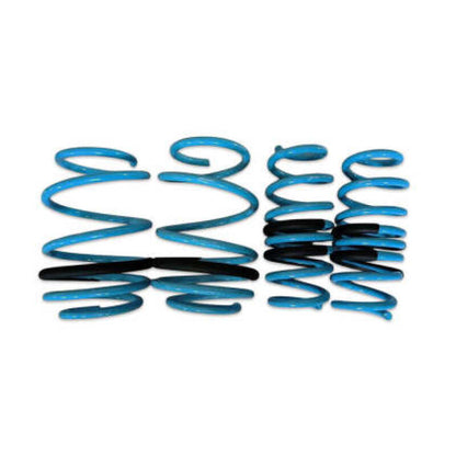 BLOX Racing Lowering Springs 96-00 Honda Civic