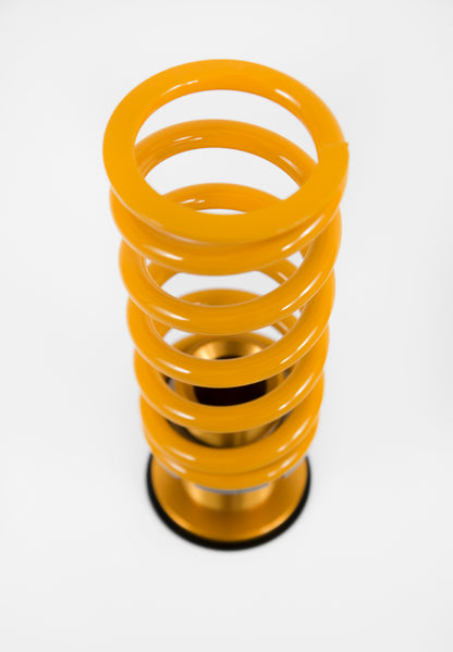 Ohlins 15-20 Audi A3 (8V) FWD / 2022 VW Golf GTI (MK8) Road & Track Coilover System