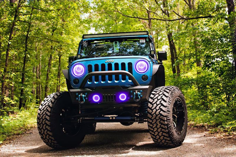 ORACLE Lighting Oracle 07-17 Jeep Wrangler LED Fog Light Halo Kit - UV/Purple